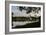 A Great Egret Looks Out over a Lake in Sao Paulo's Ibirapuera Park-Alex Saberi-Framed Photographic Print