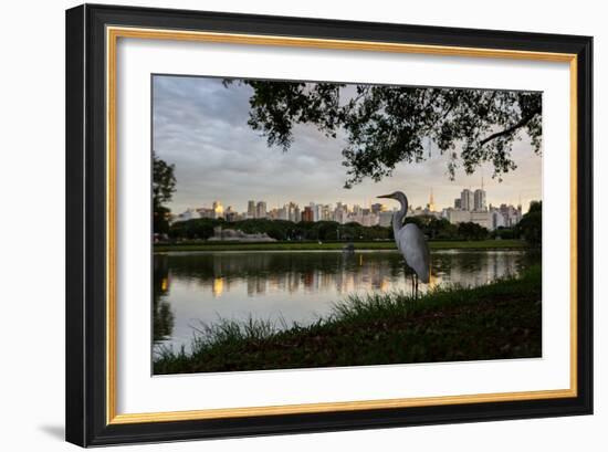 A Great Egret Looks Out over a Lake in Sao Paulo's Ibirapuera Park-Alex Saberi-Framed Photographic Print