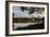 A Great Egret Looks Out over a Lake in Sao Paulo's Ibirapuera Park-Alex Saberi-Framed Photographic Print