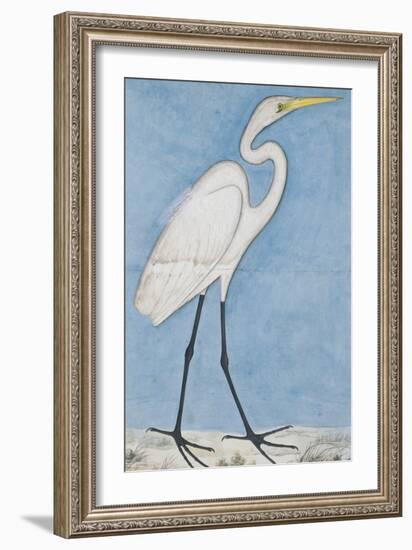 A Great Egret, Lucknow School, circa 1790--Framed Giclee Print