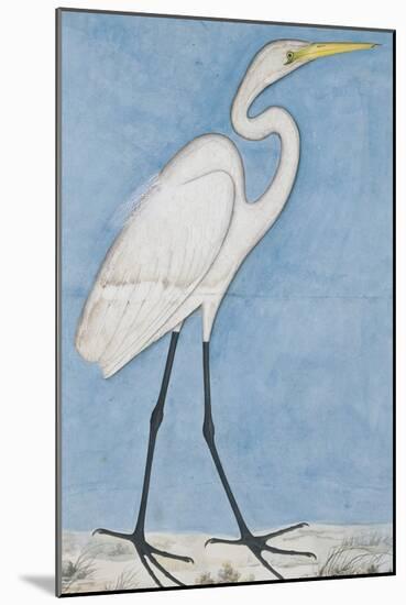 A Great Egret, Lucknow School, circa 1790-null-Mounted Giclee Print