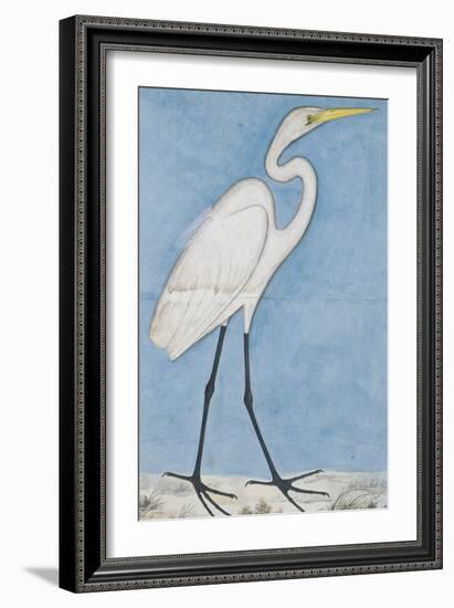 A Great Egret, Lucknow School, circa 1790--Framed Giclee Print