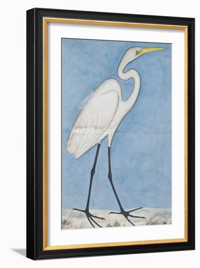 A Great Egret, Lucknow School, circa 1790-null-Framed Giclee Print