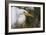 A Great Egret Stares Into The Distance. Blackwater Wildlife Refuge. Cambridge, MD-Karine Aigner-Framed Photographic Print