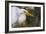 A Great Egret Stares Into The Distance. Blackwater Wildlife Refuge. Cambridge, MD-Karine Aigner-Framed Photographic Print