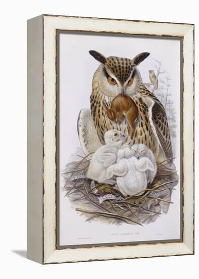 A Great Owl and Chicks, from 'The Birds of Europe', Published 1832-37-John Gould-Framed Premier Image Canvas