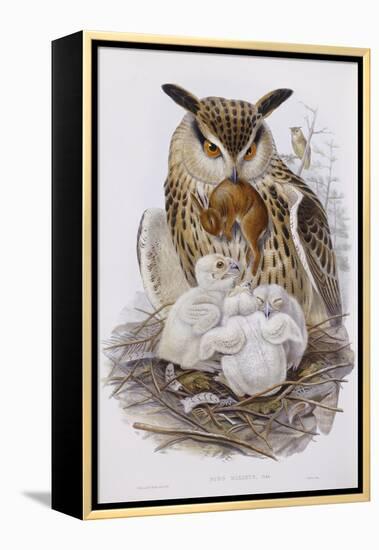 A Great Owl and Chicks, from 'The Birds of Europe', Published 1832-37-John Gould-Framed Premier Image Canvas
