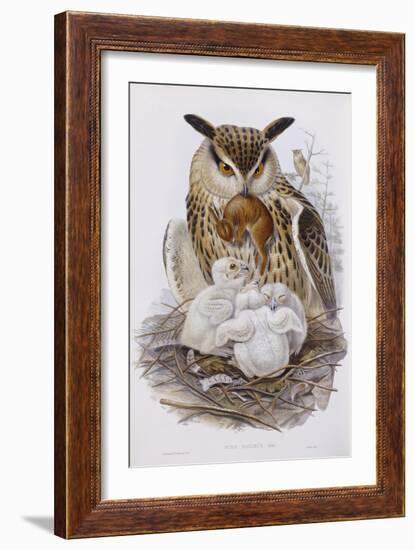 A Great Owl and Chicks, from 'The Birds of Europe', Published 1832-37-John Gould-Framed Giclee Print