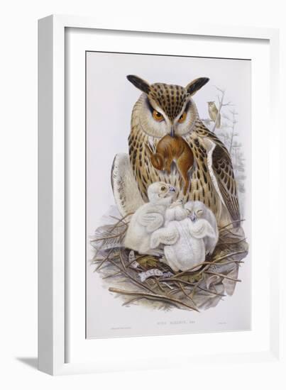 A Great Owl and Chicks, from 'The Birds of Europe', Published 1832-37-John Gould-Framed Giclee Print