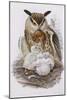 A Great Owl and Chicks, from 'The Birds of Europe', Published 1832-37-John Gould-Mounted Giclee Print
