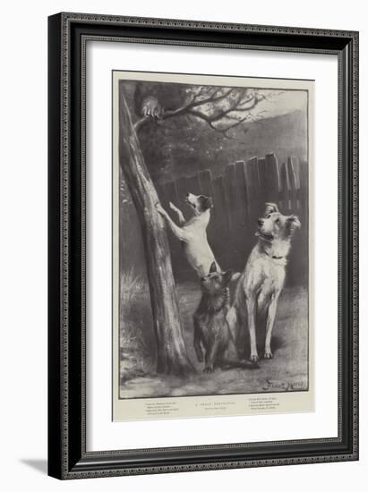 A Great Temptation-Fannie Moody-Framed Giclee Print