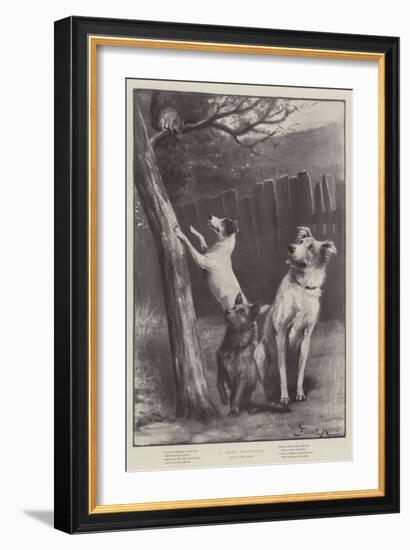 A Great Temptation-Fannie Moody-Framed Giclee Print