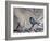 A Great Tit Rests on a Branch Amid Twigs in Richmond Park-Alex Saberi-Framed Photographic Print