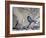 A Great Tit Rests on a Branch Amid Twigs in Richmond Park-Alex Saberi-Framed Photographic Print