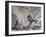 A Great Tit Rests on a Branch Amid Twigs in Richmond Park-Alex Saberi-Framed Photographic Print