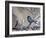 A Great Tit Rests on a Branch Amid Twigs in Richmond Park-Alex Saberi-Framed Photographic Print