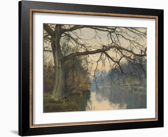 A Great Tree on a Riverbank, 1892 (Pencil, Pen and Black Ink and W/C on Paper)-William Fraser Garden-Framed Giclee Print