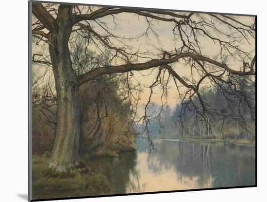 A Great Tree on a Riverbank, 1892 (Pencil, Pen and Black Ink and W/C on Paper)-William Fraser Garden-Mounted Giclee Print