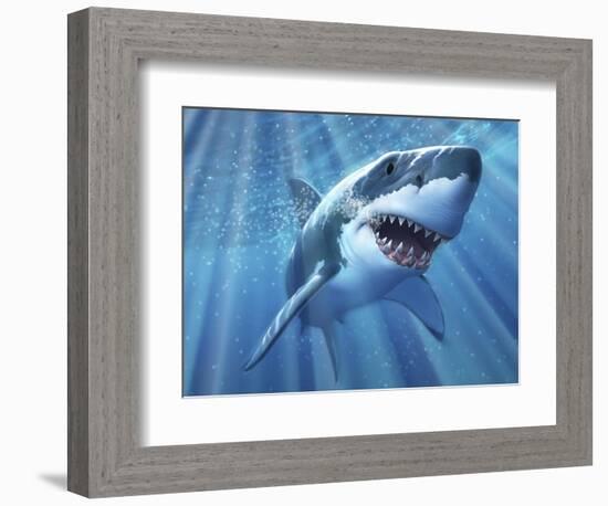 A Great White Shark with Sunrays Just Below the Surface-null-Framed Art Print