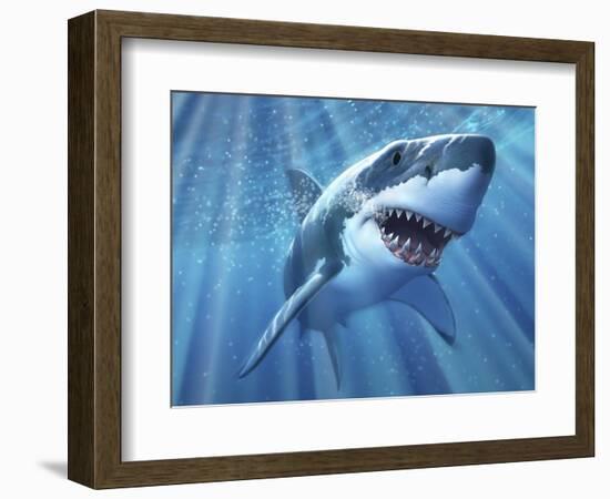 A Great White Shark with Sunrays Just Below the Surface-null-Framed Art Print