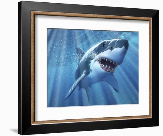 A Great White Shark with Sunrays Just Below the Surface-null-Framed Art Print