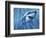 A Great White Shark with Sunrays Just Below the Surface-null-Framed Art Print