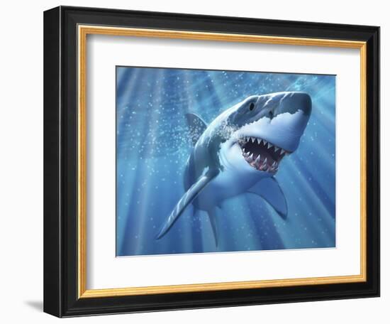 A Great White Shark with Sunrays Just Below the Surface-null-Framed Art Print