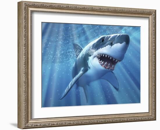 A Great White Shark with Sunrays Just Below the Surface-null-Framed Art Print