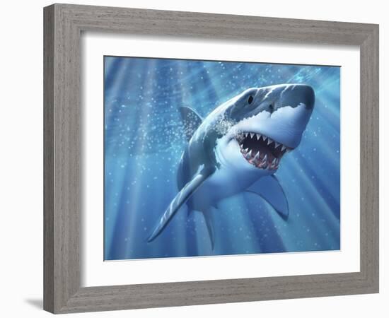 A Great White Shark with Sunrays Just Below the Surface-null-Framed Art Print