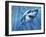 A Great White Shark with Sunrays Just Below the Surface-null-Framed Art Print