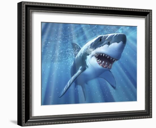 A Great White Shark with Sunrays Just Below the Surface-null-Framed Art Print