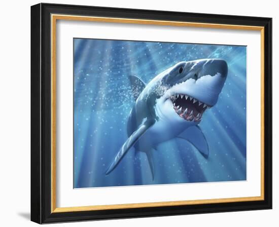 A Great White Shark with Sunrays Just Below the Surface-null-Framed Art Print