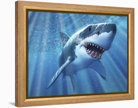 A Great White Shark with Sunrays Just Below the Surface-null-Framed Stretched Canvas