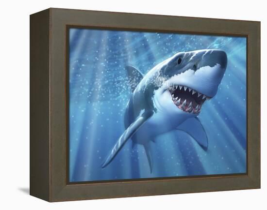 A Great White Shark with Sunrays Just Below the Surface-null-Framed Stretched Canvas