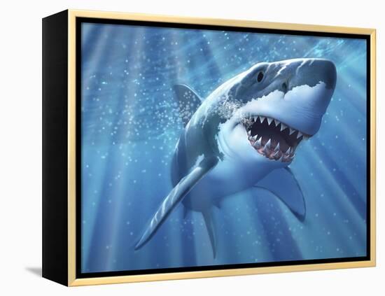 A Great White Shark with Sunrays Just Below the Surface-null-Framed Stretched Canvas