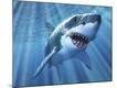 Premium Giclee Print