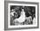 A Greek Sailor's Wedding, Pylos, Greece, 1938-null-Framed Giclee Print