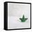 A Green Christmassy Star on Fleecy Ground-Petra Daisenberger-Framed Premier Image Canvas