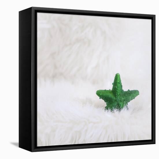 A Green Christmassy Star on Fleecy Ground-Petra Daisenberger-Framed Premier Image Canvas