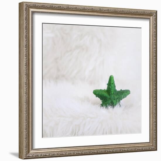 A Green Christmassy Star on Fleecy Ground-Petra Daisenberger-Framed Photographic Print