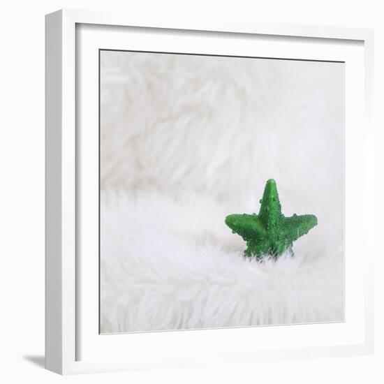 A Green Christmassy Star on Fleecy Ground-Petra Daisenberger-Framed Photographic Print