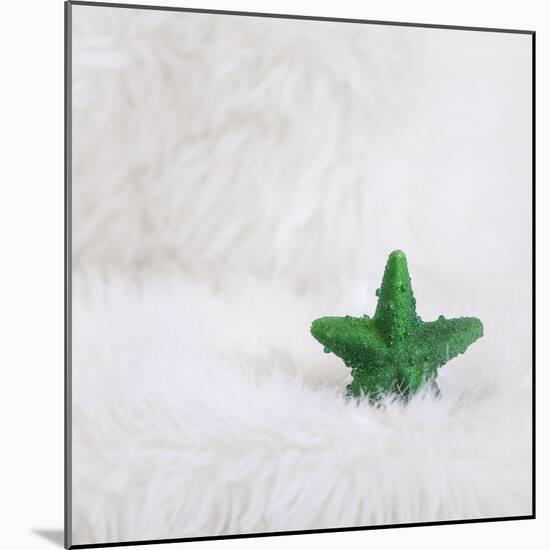 A Green Christmassy Star on Fleecy Ground-Petra Daisenberger-Mounted Photographic Print