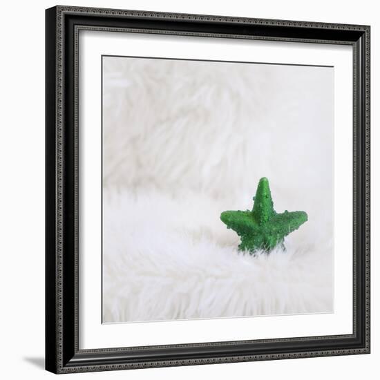 A Green Christmassy Star on Fleecy Ground-Petra Daisenberger-Framed Photographic Print
