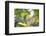 A Green-Headed Tanager Sitting on a Branch with Berries-Alex Saberi-Framed Photographic Print