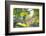 A Green-Headed Tanager Sitting on a Branch with Berries-Alex Saberi-Framed Photographic Print