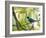 A Green Honeycreeper, Chlorophanes Spiza, Resting on a Branch-Alex Saberi-Framed Photographic Print