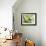 A Green Honeycreeper, Chlorophanes Spiza, Resting on a Branch-Alex Saberi-Framed Photographic Print displayed on a wall