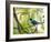 A Green Honeycreeper, Chlorophanes Spiza, Resting on a Branch-Alex Saberi-Framed Photographic Print