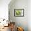 A Green Honeycreeper, Chlorophanes Spiza, Resting on a Branch-Alex Saberi-Framed Photographic Print displayed on a wall