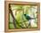 A Green Honeycreeper, Chlorophanes Spiza, Resting on a Branch-Alex Saberi-Framed Premier Image Canvas